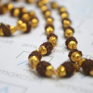 5 Mukhi/Face Rudraksha Panchdhatu Chain (54+1 beads) | meditation necklace