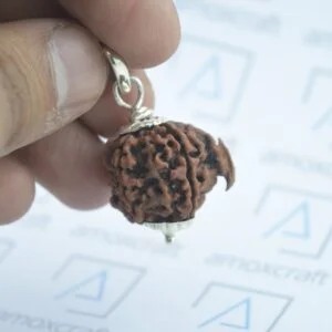 Natural & Certified Ganesh and Gauri Shankar Mukhi/Face Rudraksha