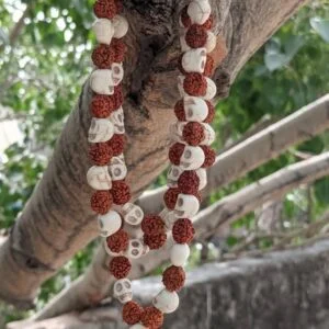 Rudraksha Narmund Hindu Goddess Kali Mala Necklace