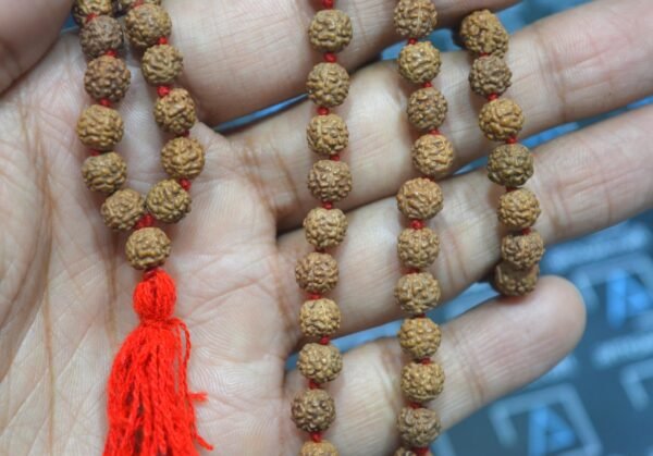 5 Mukhi/Face Rudraksha hand knotted mala (108+1 beads) | meditation necklace - Image 3