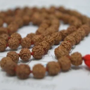 5 Mukhi/Face Rudraksha hand knotted mala (108+1 beads) | meditation necklace