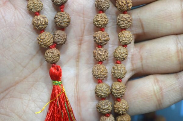 5 Mukhi/Face Rudraksha hand knotted mala (108+1 beads) | meditation necklace - Image 6